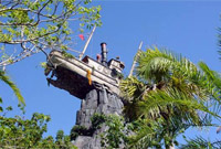 Miss Tilly atop Mount Mayday