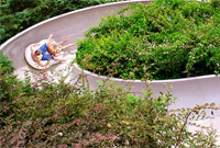 Runoff Rapids on the Red Slope at Disney's Blizzard Beach