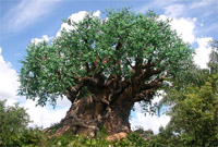 Animal Kingdom's Tree of Life