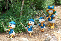 Daisy, Huey, Duey, and Louie on a hike at Camp Minnie-Mickey